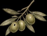 Винтажный разделитель olives